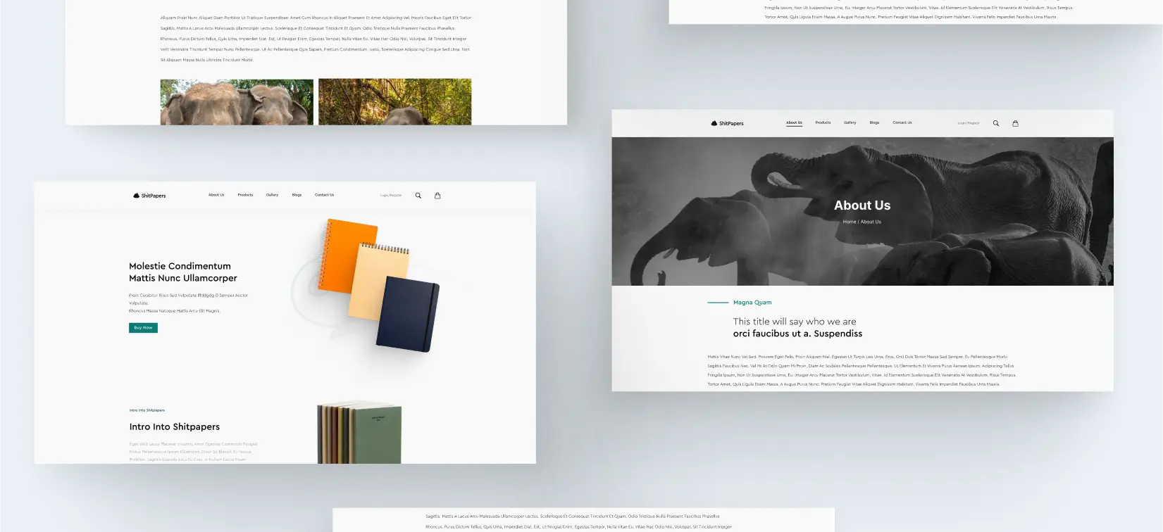 User interface of ShitPapers ecommerce platform